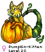 Pumpkin-Kitten
