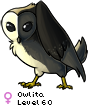 Owlita