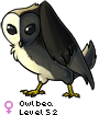 Owlbea