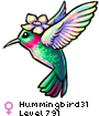 Hummingbird31