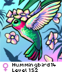 Hummingbird14