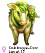 Cabbage_Cow