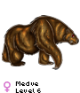 Medve
