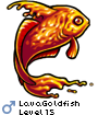 LavaGoldfish