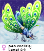 peacockfly