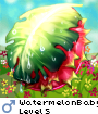 WatermelonBaby