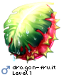 dragon-fruit