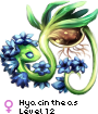 Hyacintheas