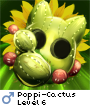 Poppi-Cactus