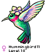 Hummingbird11