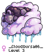 _Cloudbursa06_