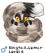Ringtail_Lemur