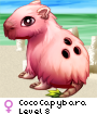 CocoCapybara