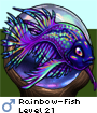 Rainbow-Fish