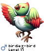 birdiez-bird