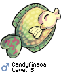 Candyfinaoa