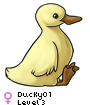 Ducky01
