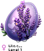 Lilac__