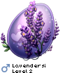 Lavendersi