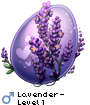 Lavender-