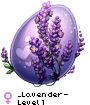 _Lavender-