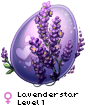 Lavenderstar