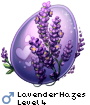 LavenderHazes