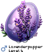 Lavenderpupper