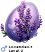 Lavendeus