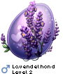 Lavendelhond