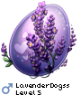 LavenderDogss