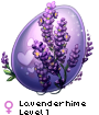 Lavenderhime