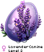 LavenderCanine