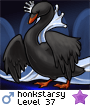 honkstarsy