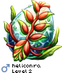 heliconra