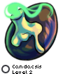Candacsis