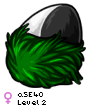 a5E4O