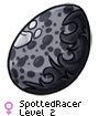 SpottedRacer
