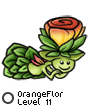 OrangeFlor