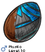 Musko