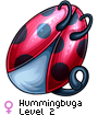 Hummingbuga