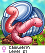 Caniwerm