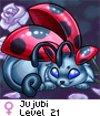 Jujubi