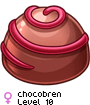 chocobren