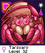 Tarsuaro