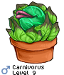 Carnivorus