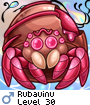 Rubauinu