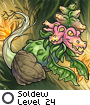 Soldew