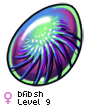 bfibsh