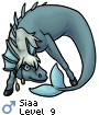 Siaa
